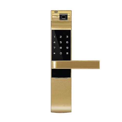 YDM-4109A-GOLD