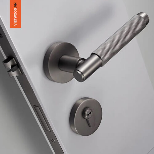 KHÓA PHÂN THỂ TAY GẠT HIỆN ĐẠI VÂN TRÒN 1132