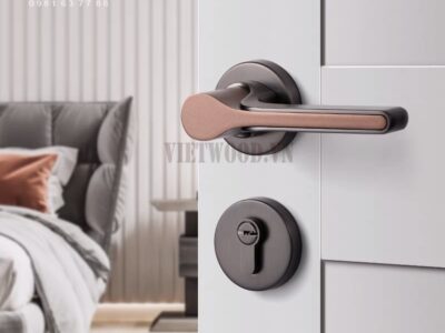 Khóa tay gạt LOCK1034 là dòng khóa cửa phòng ngủ bán chạy nhất hiện nay