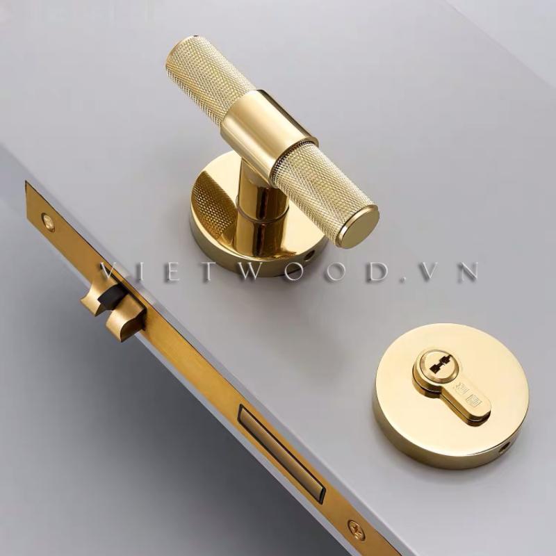 KHOA-CUA-PHONG-TAY-GAI-HIEN-DAI-VW-%E2%80%93-LOCK1193.jpg